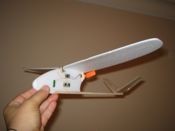 MikroP2  Mini ParkFlyer